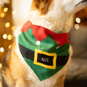 Petface Gifting Naughty or Nice Pet Bandana