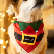 Petface Gifting Naughty or Nice Pet Bandana