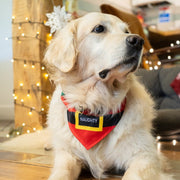 Petface Gifting Naughty or Nice Pet Bandana