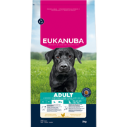Eukanuba Adult Large Breed Chicken Dry Dog Food