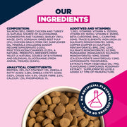 Eukanuba Adult Large Breed Salmon & Barley Dry Dog Food