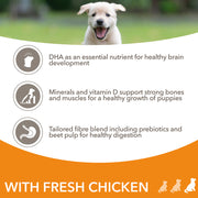 IAMS Vitality Puppy Large Breed Chicken Dry Dog Food