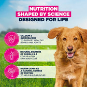 Eukanuba Adult Large Breed Lamb & Rice Dry Dog Food