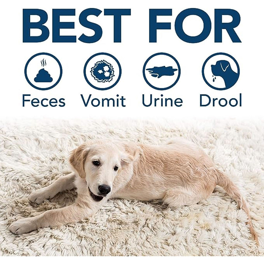 Simple Solution Stain and Odour Remover for Dogs