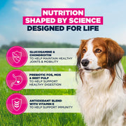 Eukanuba Senior Small & Medium Breed Lamb & Rice Dry Dog Food