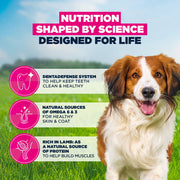 Eukanuba Adult Small & Medium Breed Lamb & Rice Dry Dog Food