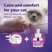 Kitten Starter Pack