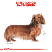 ROYAL CANIN® Dachshund Adult Wet Dog Food