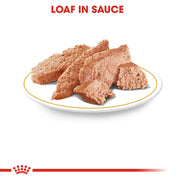 ROYAL CANIN® Dachshund Adult Wet Dog Food