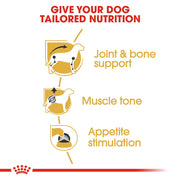 ROYAL CANIN® Dachshund Adult Wet Dog Food