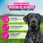 Eukanuba Senior Large Breed Chicken Dry Dog Food