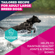 Eukanuba Adult Large Breed Chicken Dry Dog Food