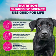 Eukanuba Adult Large Breed Chicken Dry Dog Food