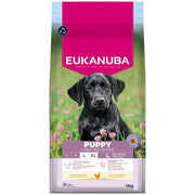 Eukanuba Puppy Large Breed Chicken Dry Dog Food