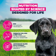 Eukanuba Puppy Large Breed Chicken Dry Dog Food