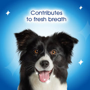 Dentalife Medium Dog Dental Chews