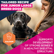Eukanuba Junior Large Breed Chicken Dry Dog Food