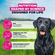 Eukanuba Junior Large Breed Chicken Dry Dog Food