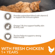 IAMS Vitality Adult Cat Chicken Dry Cat Food