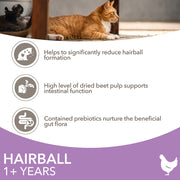IAMS Vitality Adult Cat Hairball Chicken Dry Cat Food
