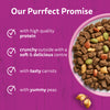 Whiskas 1+ Complete Salmon Dry Food