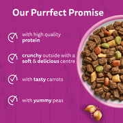 Whiskas 1+ Complete Salmon Dry Food