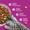 Whiskas 1+ Complete Salmon Dry Food