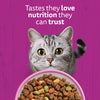 Whiskas 1+ Complete Salmon Dry Food