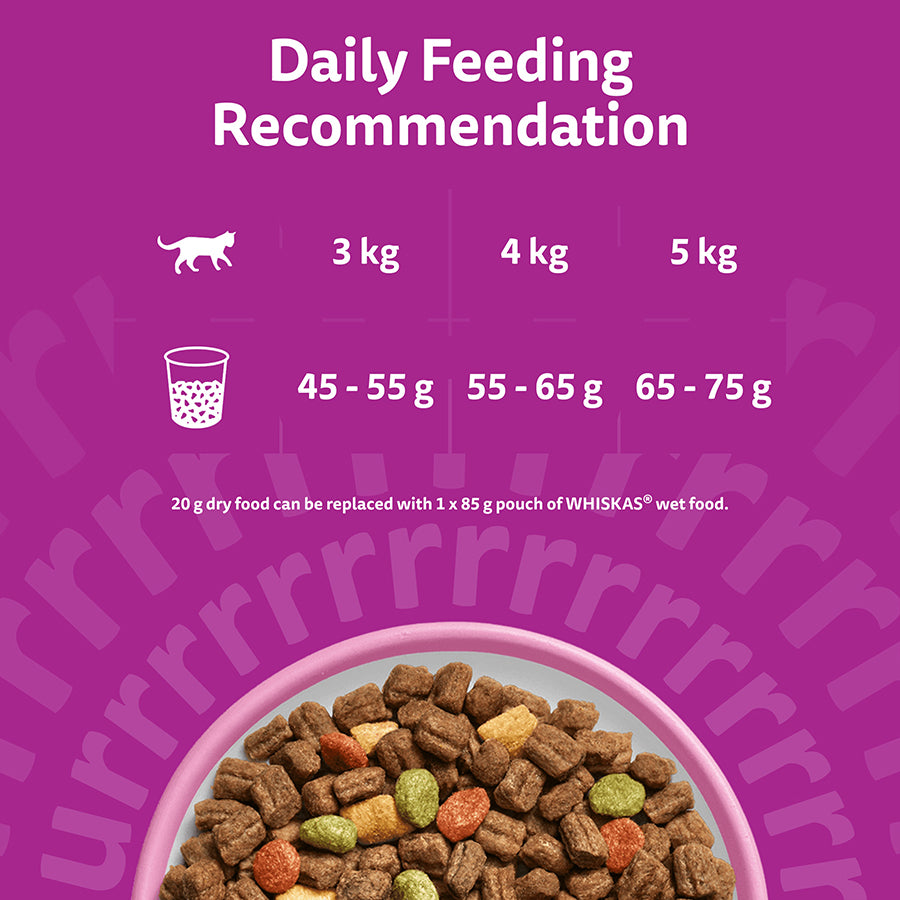 Whiskas 1+ Complete Salmon Dry Food