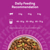 Whiskas 1+ Complete Salmon Dry Food
