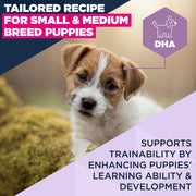 Eukanuba Puppy Small & Medium Breed Lamb & Rice Dry Dog Food