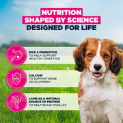 Eukanuba Puppy Small & Medium Breed Lamb & Rice Dry Dog Food