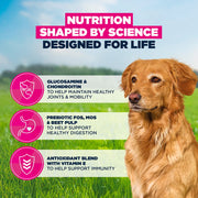 Eukanuba Senior Large Breed Lamb & Rice Dry Dog Food
