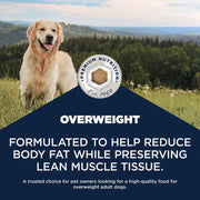 Eukanuba Daily Care Excess Weight Adult Dry Dog Food