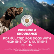 Eukanuba Adult Working & Endurance Dry Dog Food