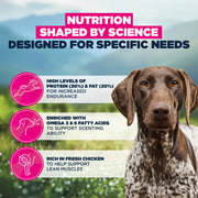 Eukanuba Adult Working & Endurance Dry Dog Food