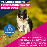Eukanuba Senior Medium Breed Chicken Dry Dog Food