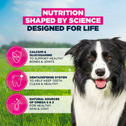 Eukanuba Senior Medium Breed Chicken Dry Dog Food