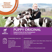 Wellness Core Puppy Turkey & Chicken Wet Dog Food