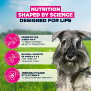 Eukanuba Adult Small Breed Chicken Dry Dog Food