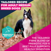 Eukanuba Adult Medium Breed Chicken Dry Dog Food