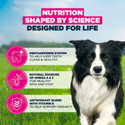 Eukanuba Adult Medium Breed Chicken Dry Dog Food