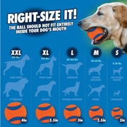 Chuckit! Pro 25 Ball Launcher with Ball