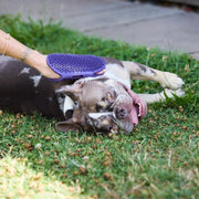 Petface Parlour Grooming Mitt