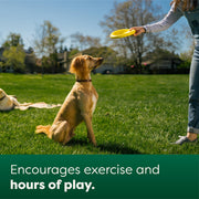 Earth Rated Flyer Dog Toy