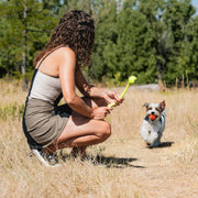Chuckit! Sport Ball Launcher