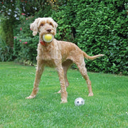 Rosewood Catch And Play Spiky Tennis Ball