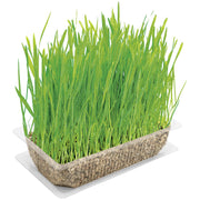 Vitakraft Cat Grass 120g