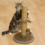 Rosewood Vigo Cat Scratcher