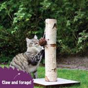 Rosewood Cat Naturals Activity Tree